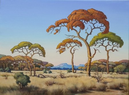 Oil on Stretched CanvasSize (608x452x18)mmUnframedSOLD 2017 (Hette-Lize Marshall -- SA)